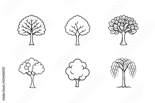 Line art vector illustration set of ash beech cashew cherry silk cotton willow tree Line Art Vector illustration