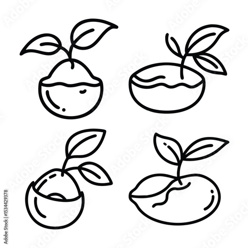 coconut baby tree hatching set