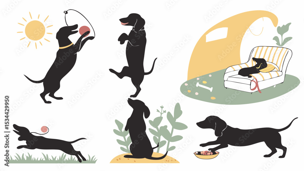 Fototapeta premium Cute Black Dachshund Dog Vector Illustrations Set Playing Running Sleeping Eating Standing Happy Pet Life Collection