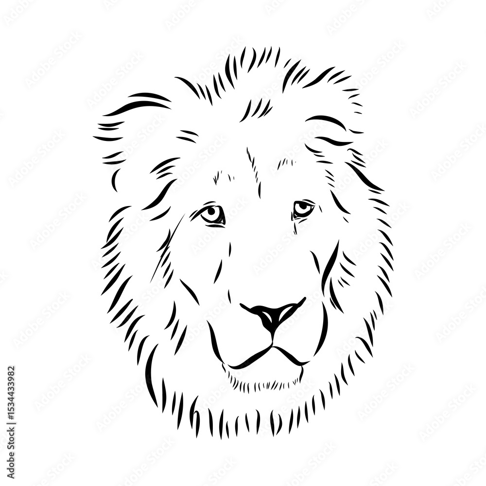 Fototapeta premium lion, vector sketch