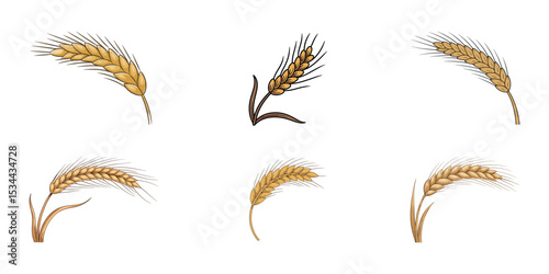 Ears of wheat symbols. Wheat silhouettes. Wheat vector icons, Rice icon. Wheats rye rice ears. barley field cereal nutritious. wheat grain. Vector illustration, Wheat ears set, wheat plant crop vector