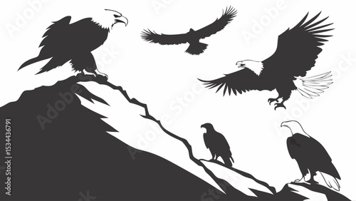 Bald Eagles Flying and Standing on Mountain Peak Silhouette Wildlife Nature Freedom Power Bird of Prey