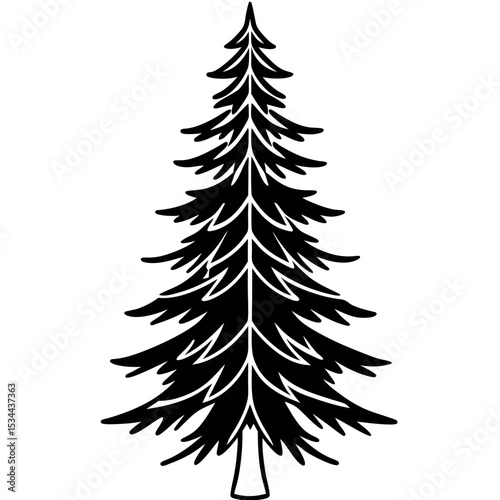Black and White Side View Drawing of a Fir Tree with Detailed Foliage
