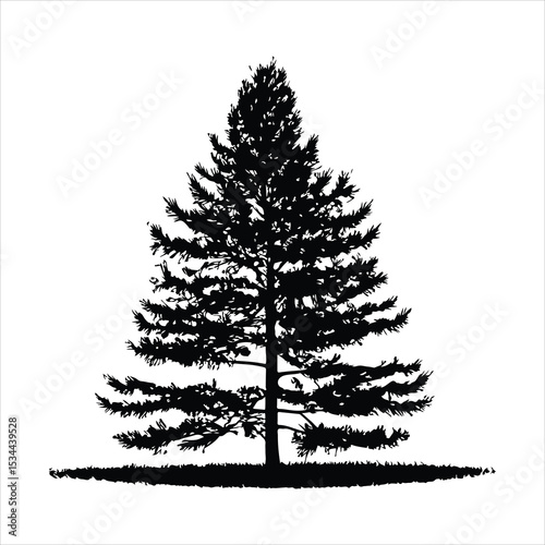 Black Silhouette of a Tall Coniferous Tree on White Background Simple Nature Illustration pine tree