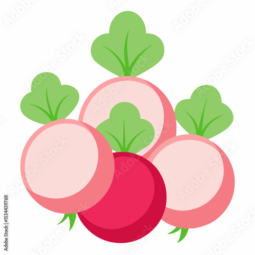 Minimal Radish Rounds Vector