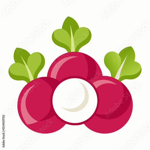 Minimal Radish Rounds Vector