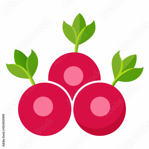 Minimal Radish Rounds Vector