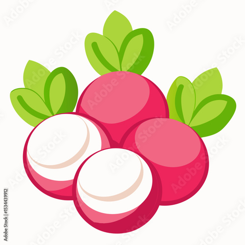 Minimal Radish Rounds Vector