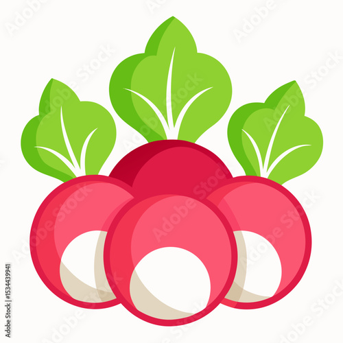 Minimal Radish Rounds Vector