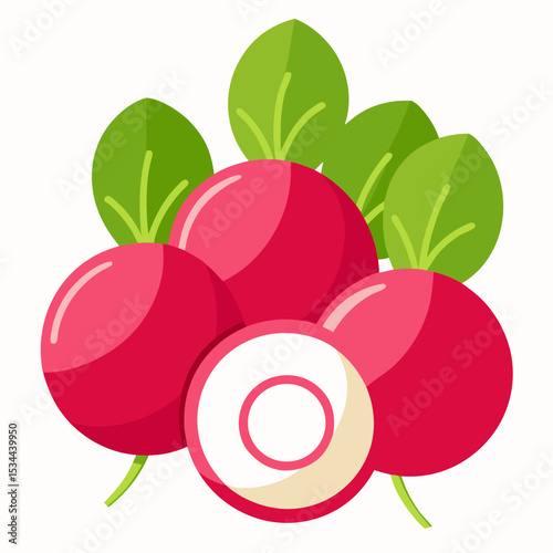 Minimal Radish Rounds Vector