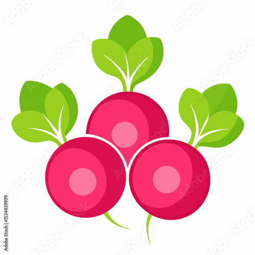 Minimal Radish Rounds Vector