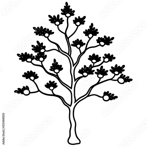 Black Outline Juniper Tree Vector Illustration Needle Clusters