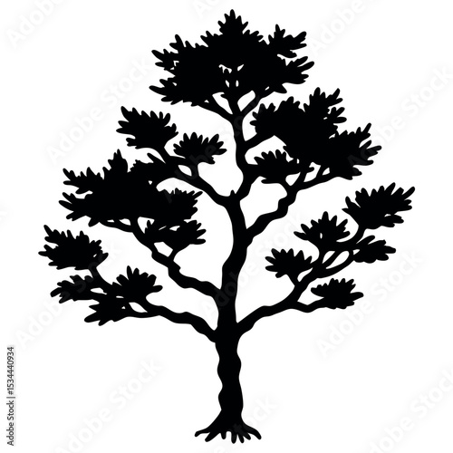 Black Silhouette Juniper Tree Spiky Foliage Detailed Trunk 1