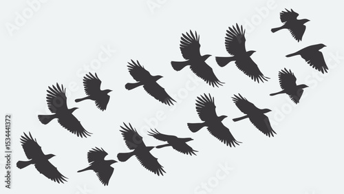Dynamic Silhouette Flock of Black Birds Flying in Diagonal Formation Against a Bright Sky - A Symbol of Nature, Freedom, and Migration