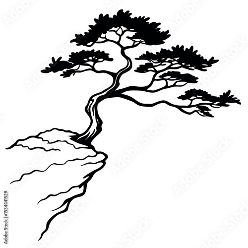 Black Silhouette Windswept Juniper Tree Rocky Slope