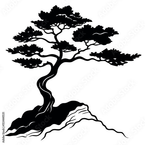 Black Silhouette Windswept Juniper Tree Rocky Slope 1
