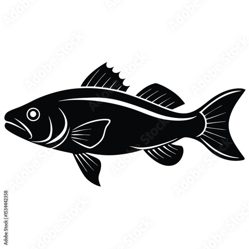 zander fish vector Illustrator 
