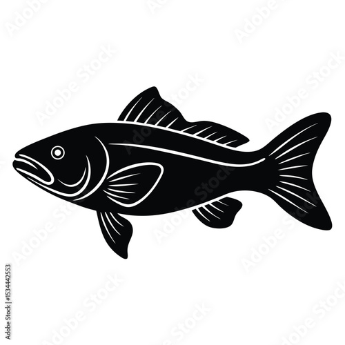 zander fish vector Illustrator 