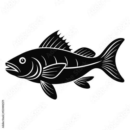 zander fish vector Illustrator 