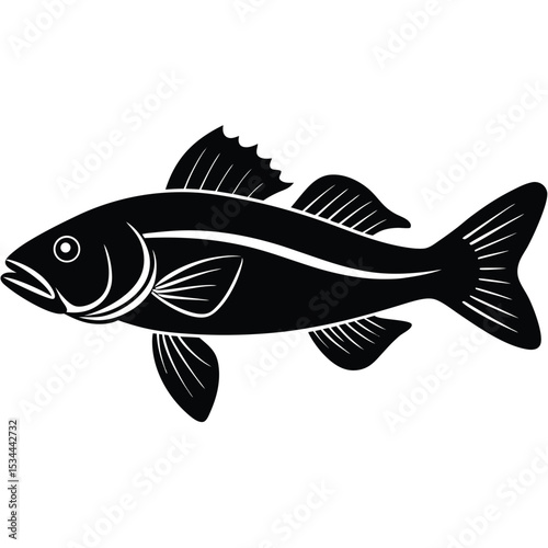zander fish vector Illustrator 