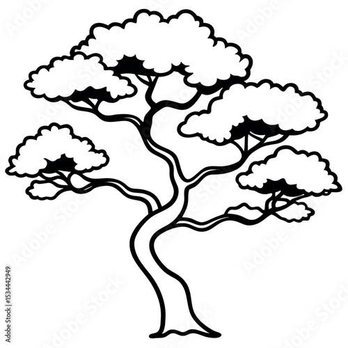 Side View Line Art Mature Juniper Tree Black White