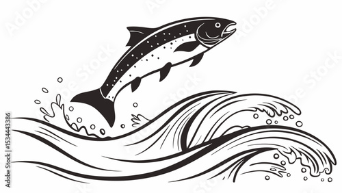 Majestic Salmon or Trout Fish Leaping from Water Waves Black and White Illustration