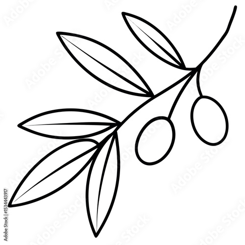 Single Olive Branch with Olives and Leaves Line Drawing
