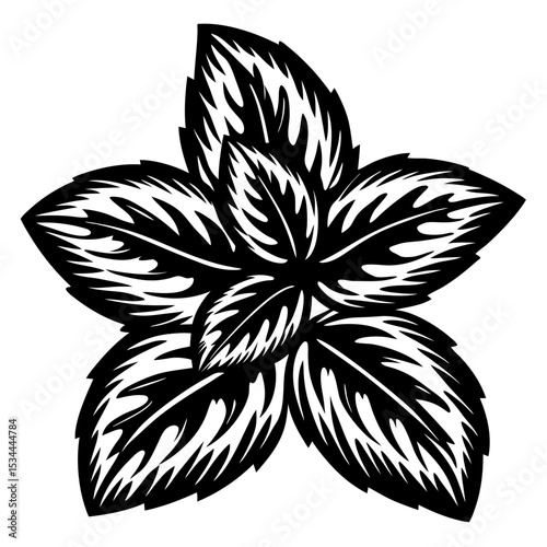 Stylized black and white illustration of a mint leaf plant top view