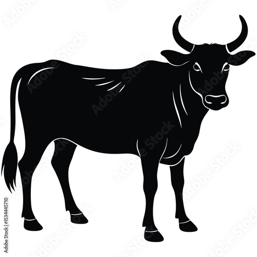 zebu vector sihouette