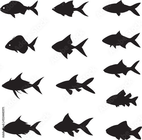 Set of fish. Fish icon vector isolated on white black background. food illustration sign collection. Fish icon
