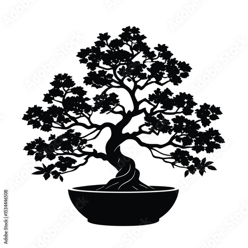 bonsai tree isolated on white