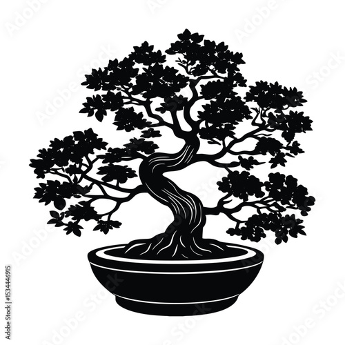 bonsai tree isolated on white