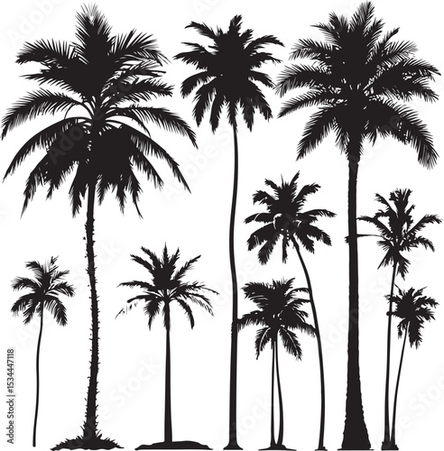 Collection of Palm trees vector silhouette isolated on a white background, Tropical palm tree black clipart. Tropical palm trees	