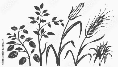 Black and White Silhouette Illustration of Diverse Agricultural Crops and Farm Plants