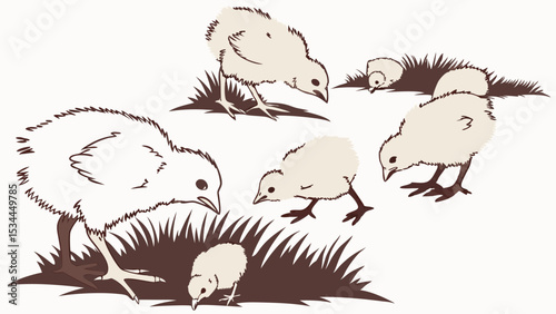 Sketch illustration of baby chicks foraging in grass, simple hand-drawn image of young poultry pecking.