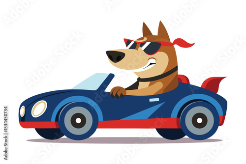 A cool bully dog driving car isolated on white background