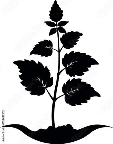 Minimal Nettle Leaf Line Illustration