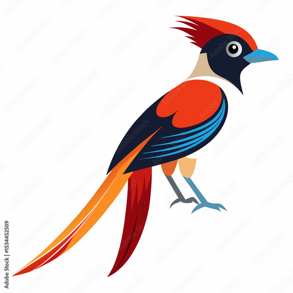 Obraz premium Elegant Paradise Flycatcher Vector