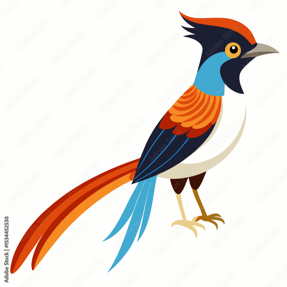 Obraz premium Elegant Paradise Flycatcher Vector