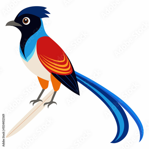 Elegant Paradise Flycatcher Vector
