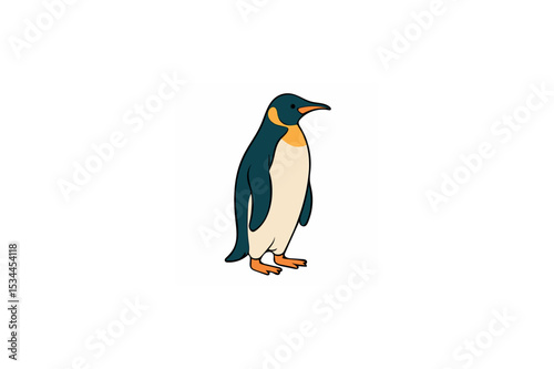 Penguin Color vector on white background.01