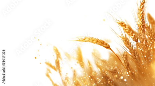Flying mythical golden wheat grains surrounded by faint magical aura isolated on white background 