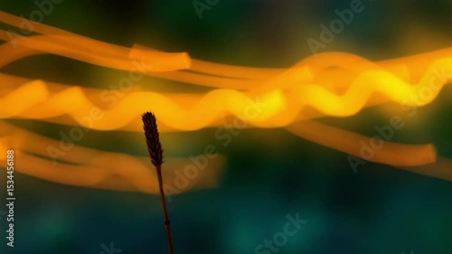 Single wheat stalk beneath abstract golden sky