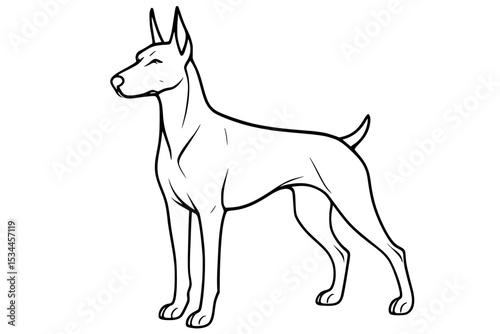 Alert Doberman Dog Line Drawing