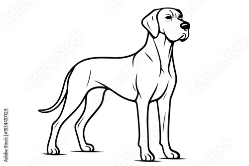 Elegant Great Dane Dog Line Illustration


