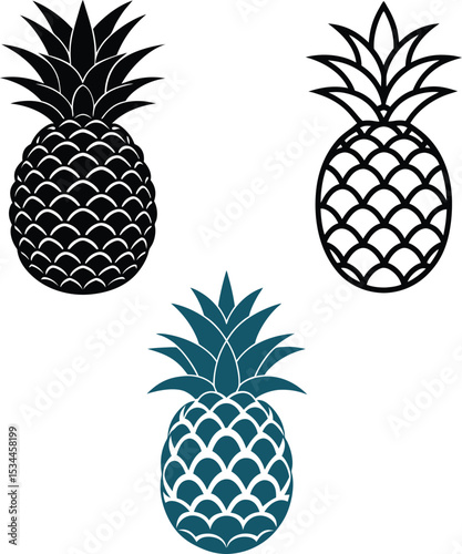 set of pineapple. Fruit collection set