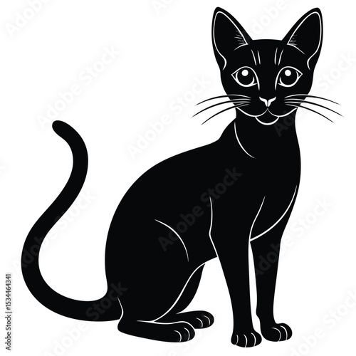 abyssinian cat vector