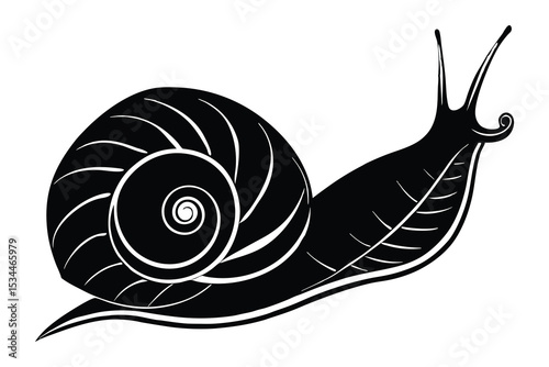 Snail Silhouette Vector Illustration Simple Design Element for Nature Wildlife and Graphic Projects Available in Multiple Colors