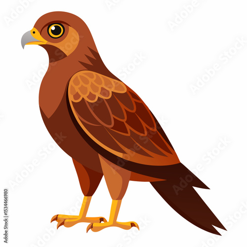 Simple Marsh Harrier Illustration