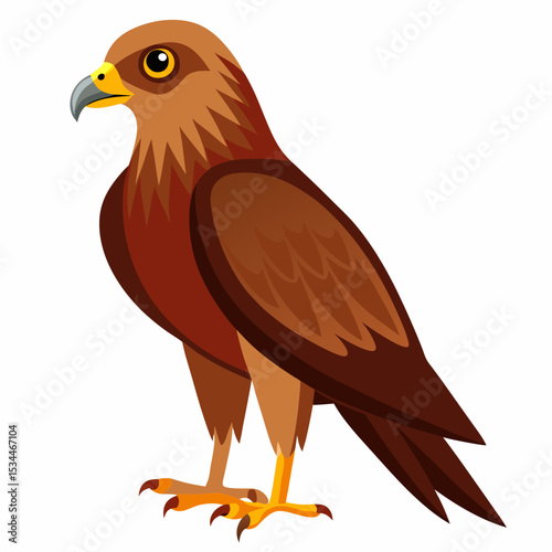 Simple Marsh Harrier Illustration